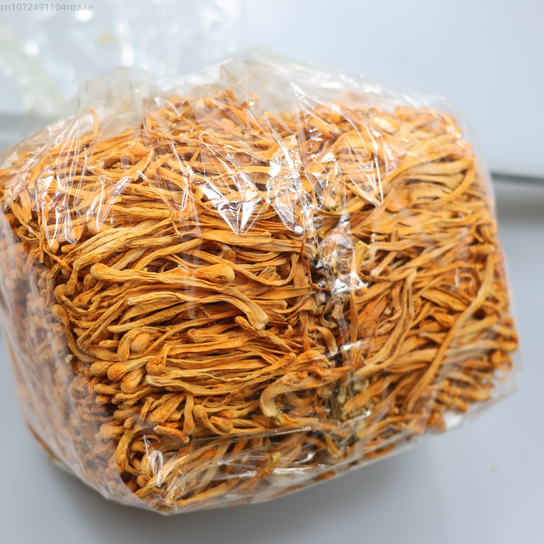 250g/500g 프리미엄 천연 건조 동충하초 꽃 미용 - Chamomile Tea 리뷰 및 가격